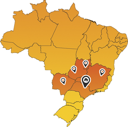 Área de Atuação da Baston Leilões